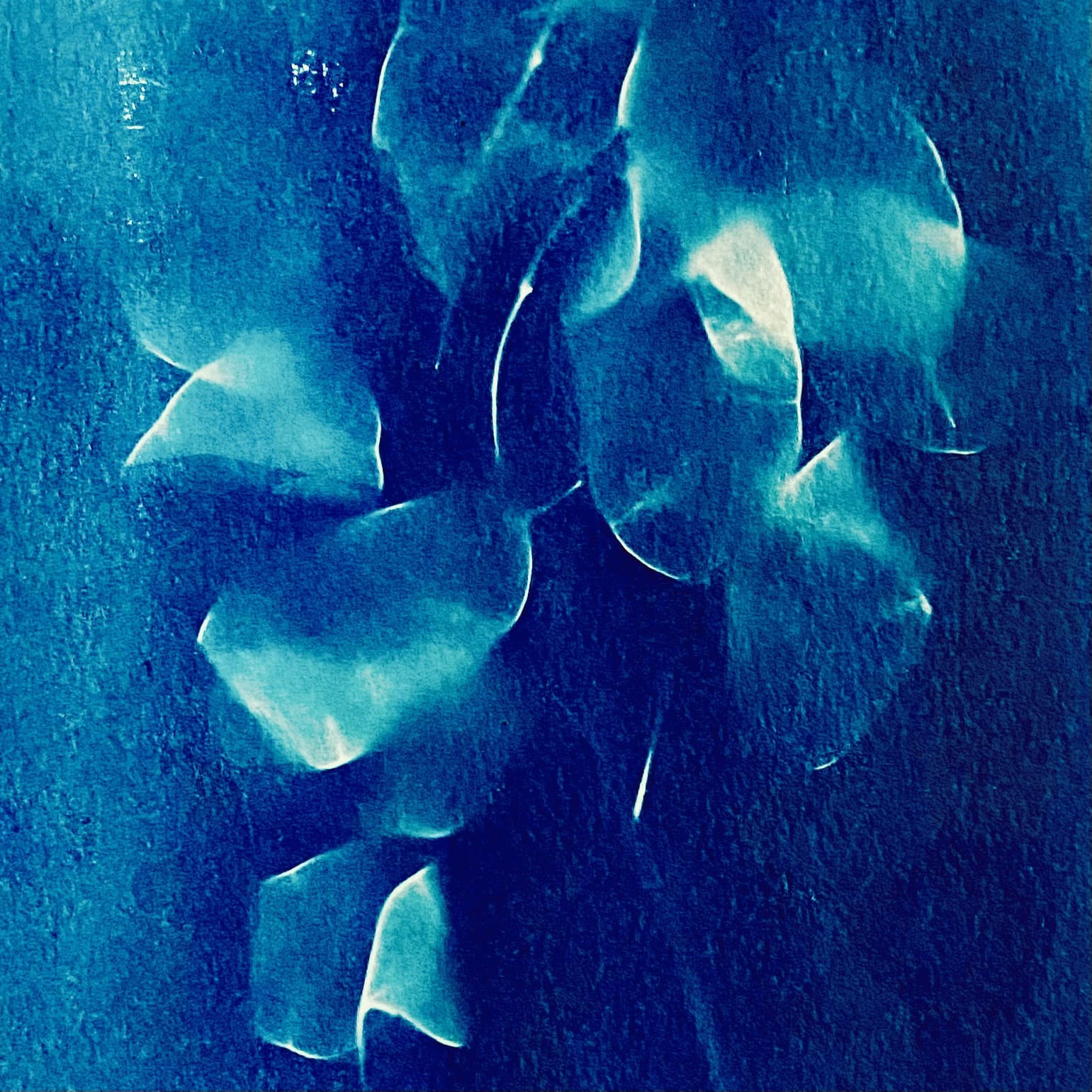 Photographie Instant T N°12 de Fani Kosti