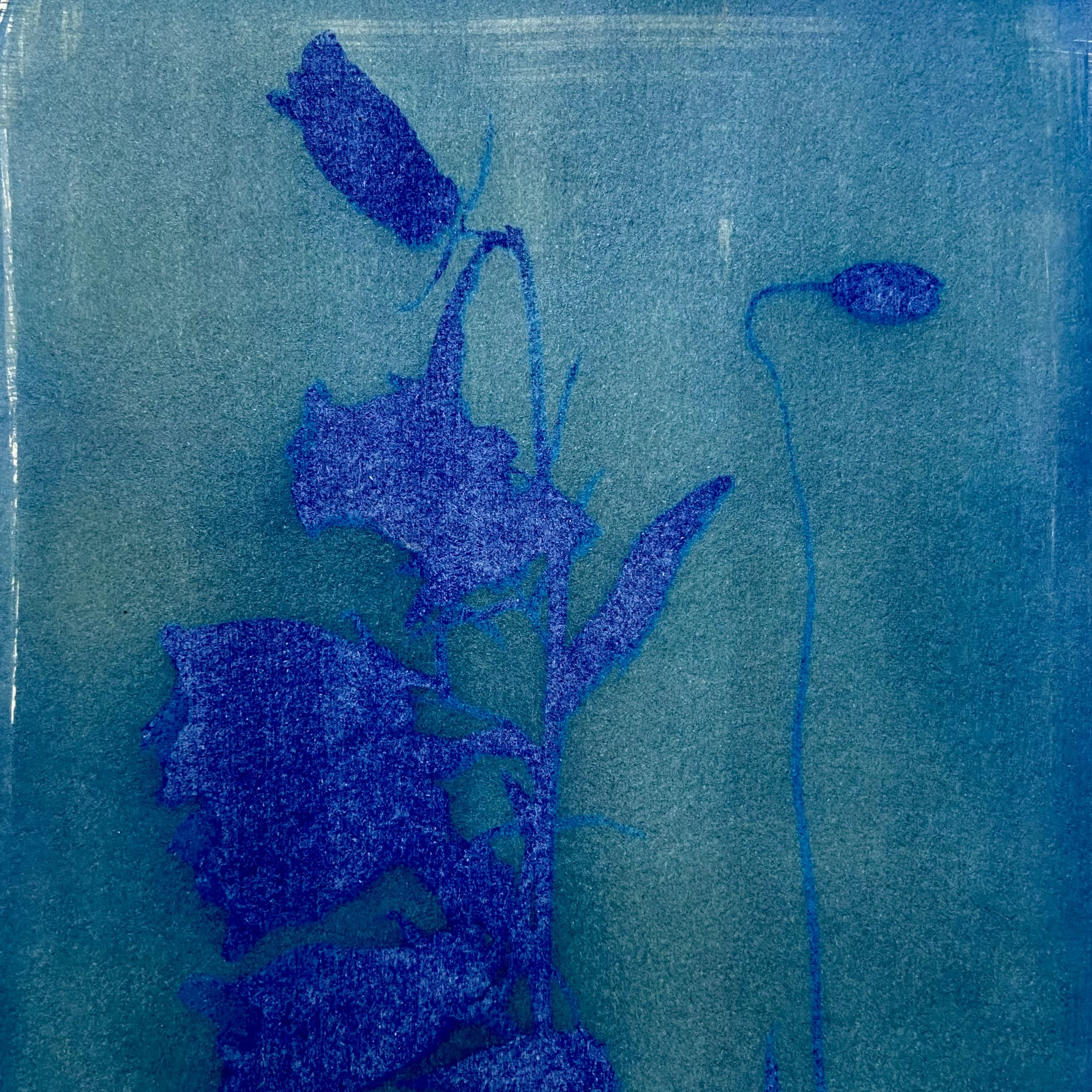 Photographie Instant T N°23 de Fani Kosti