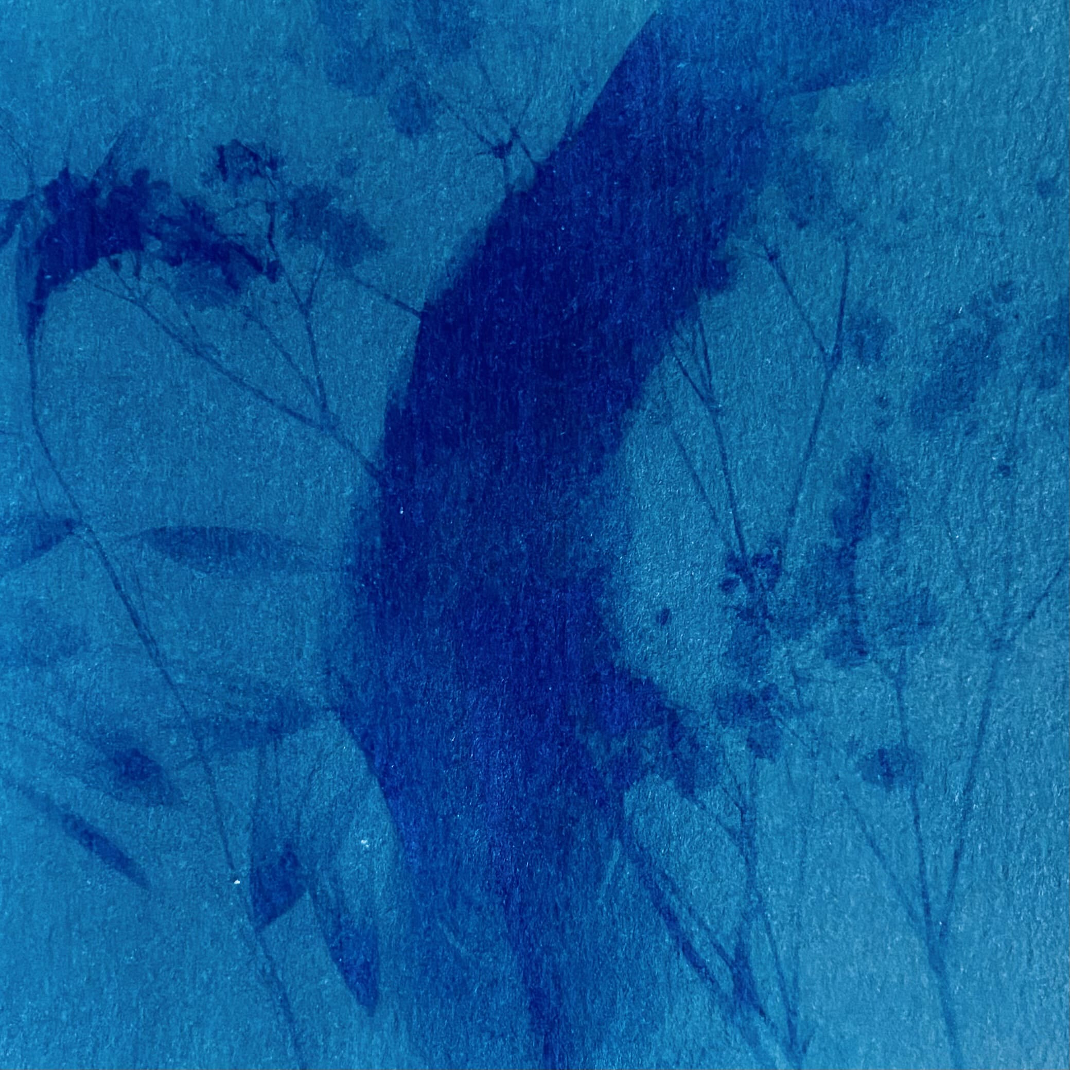 Photographie Instant T N°24 de Fani Kosti