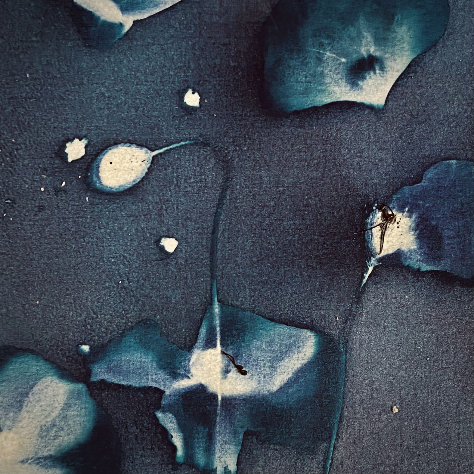 Photographie Instant T N°26 de Fani Kosti
